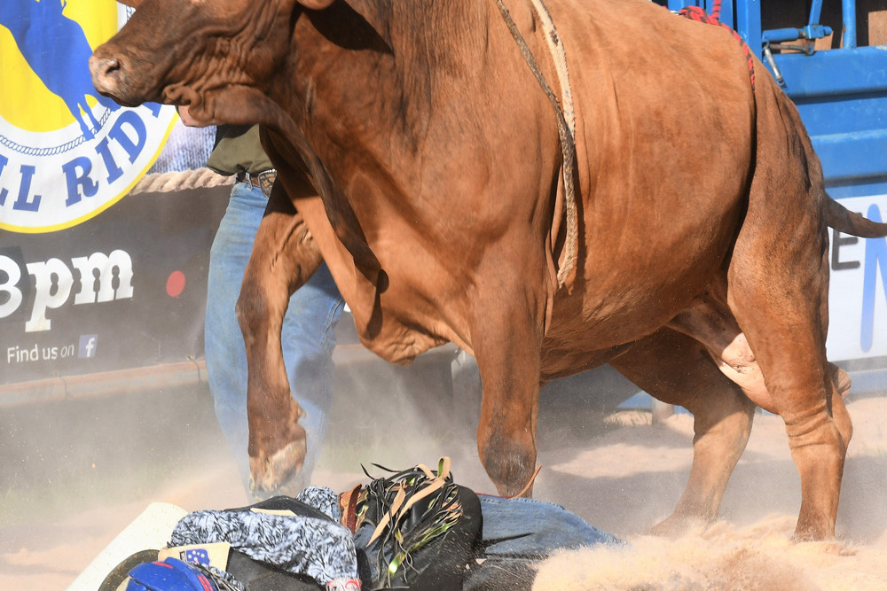 Malanda Bull Ride bucks into action