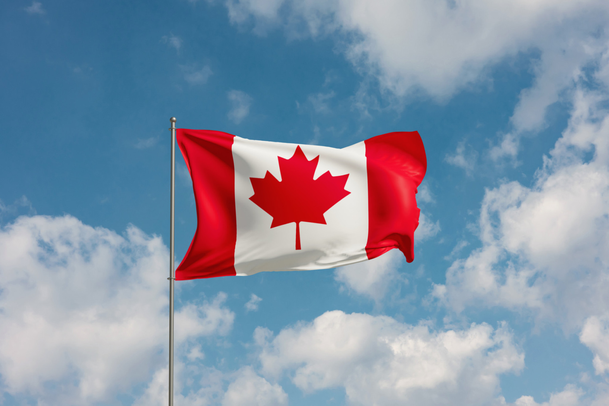Canadian theme for morning tea - feature photo