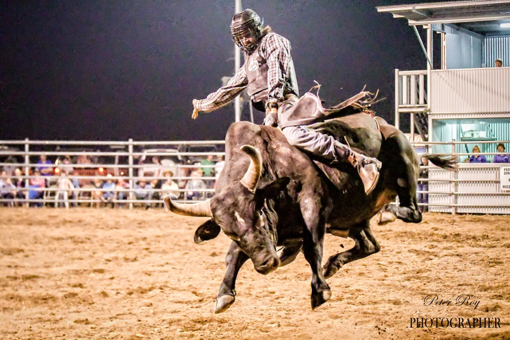 A rider takes on a bull at last year’s event. PHOTO BY PETER ROY.