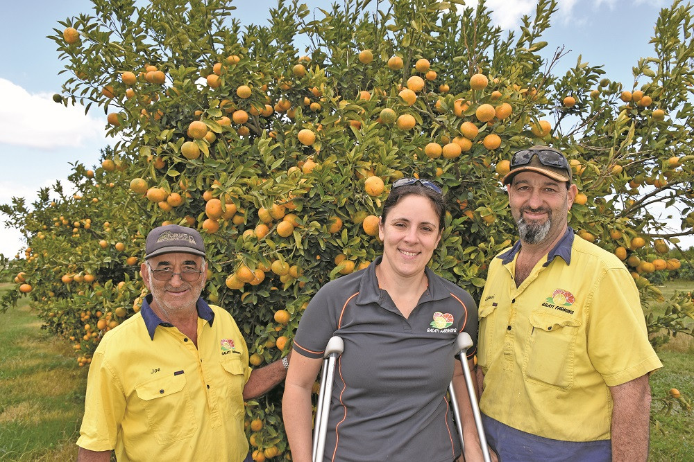 Big grant boost for farmers - feature photo