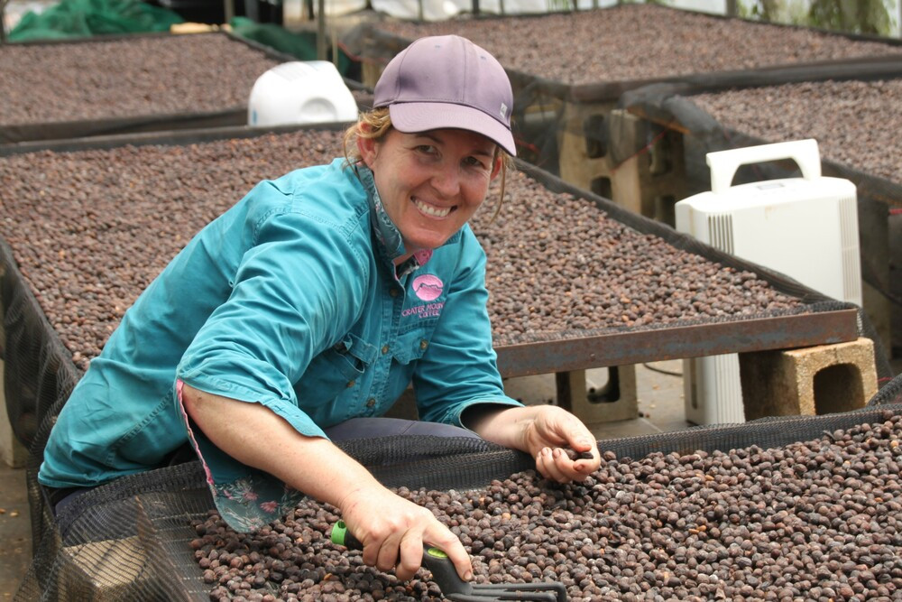 With their second commercial coffee crop harvested and the Crater Mountain Coffee reputation spreading across Australia and the world, Lucy Stocker has been busy participating in trials with Danish yeast manufacturers, Chr.Hansen to create new coffee flavours at their Upper Barron farm.