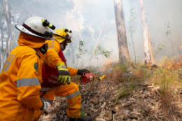 Planned burns to start - feature photo