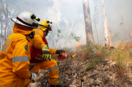 Time to carry out hazard reduction burns - feature photo