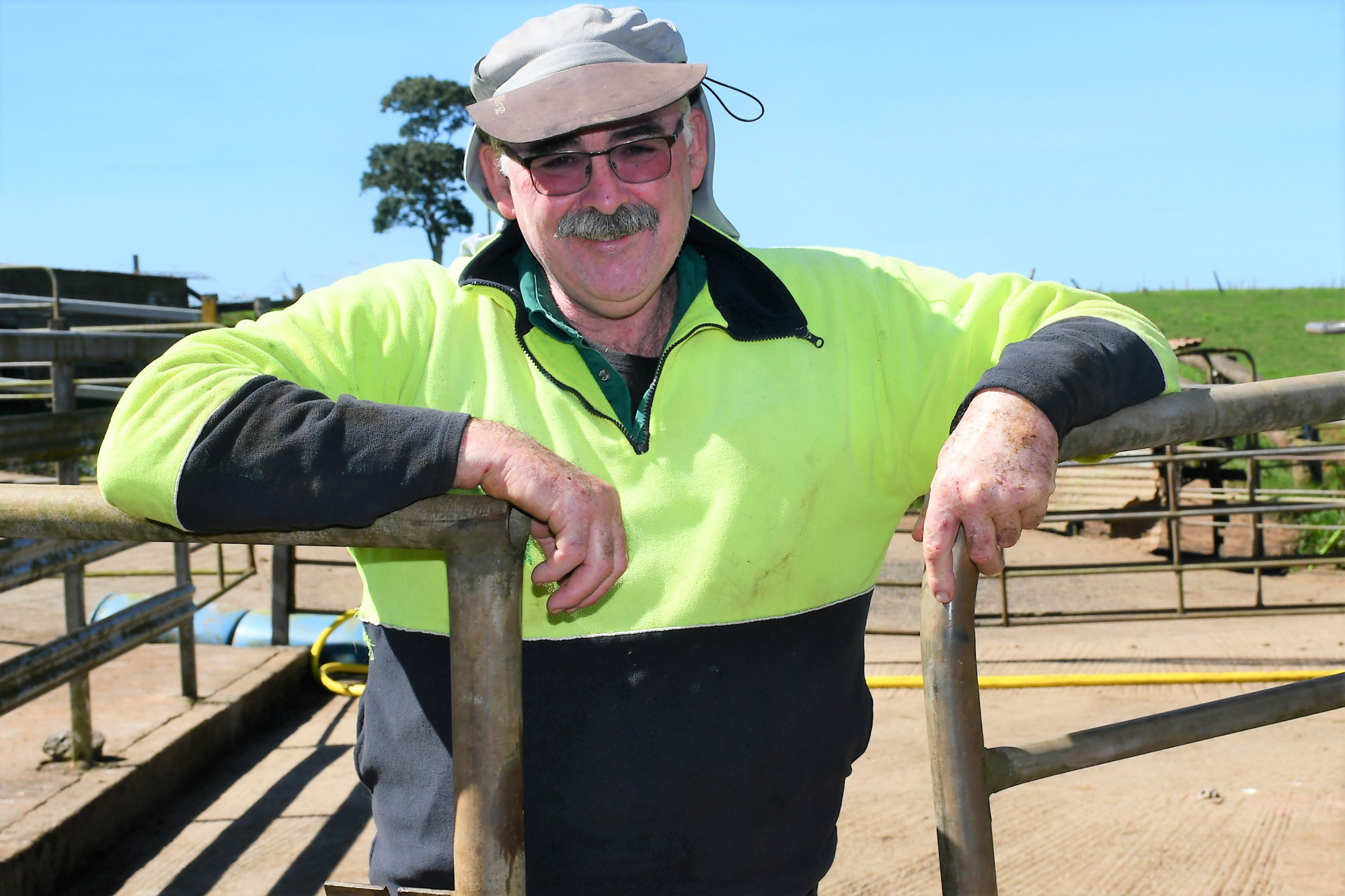 Millaa Millaa farmer James Geraghty said the Bega Cheese purchase is great news for dairy farmers on the Tablelands.