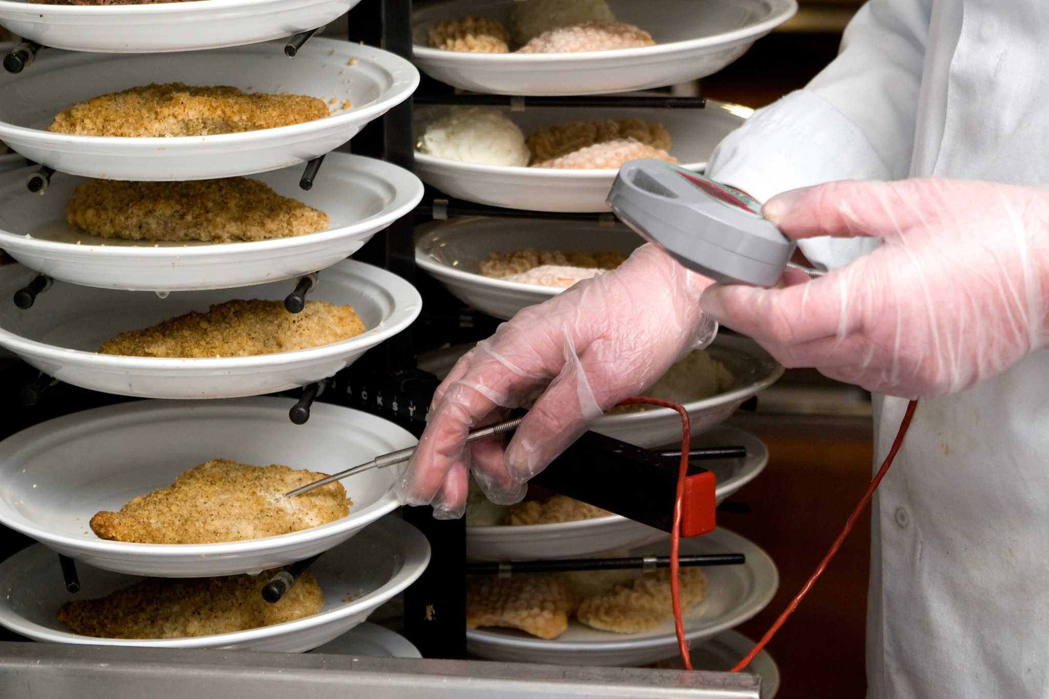 Free food safety training - feature photo