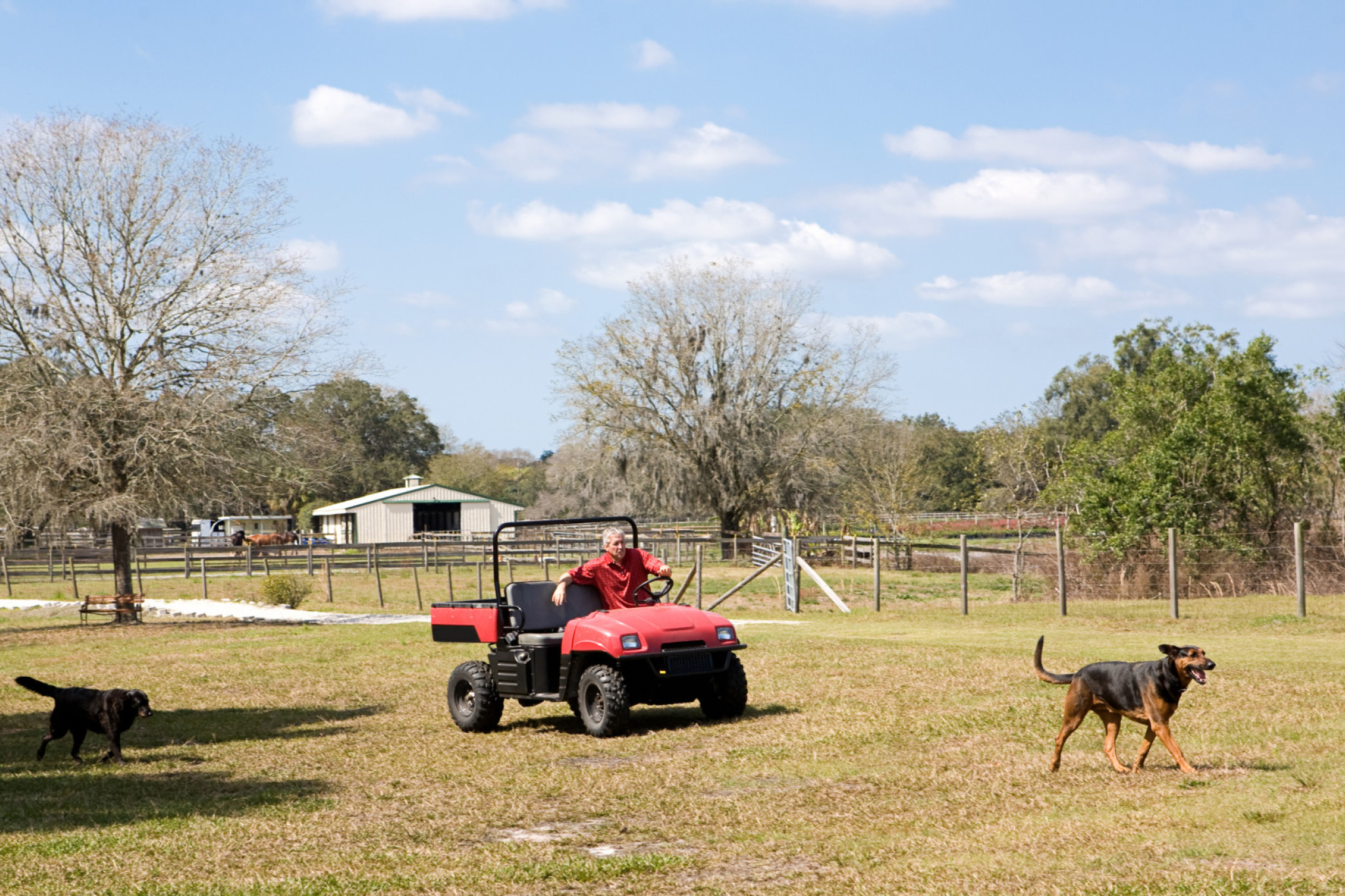 Council seeks public feedback on proposed animal laws - feature photo