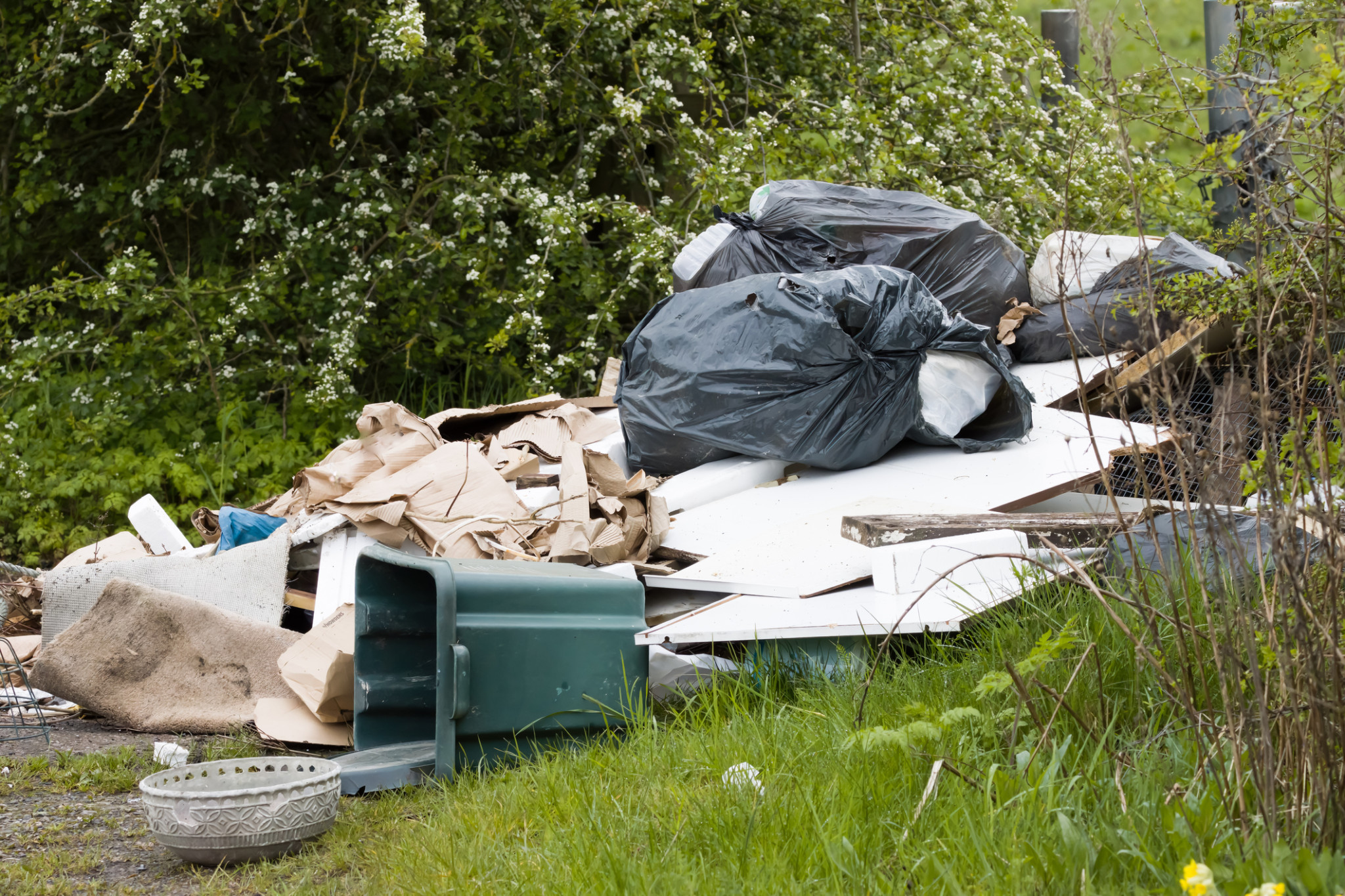 Illegal dumping on the rise - feature photo
