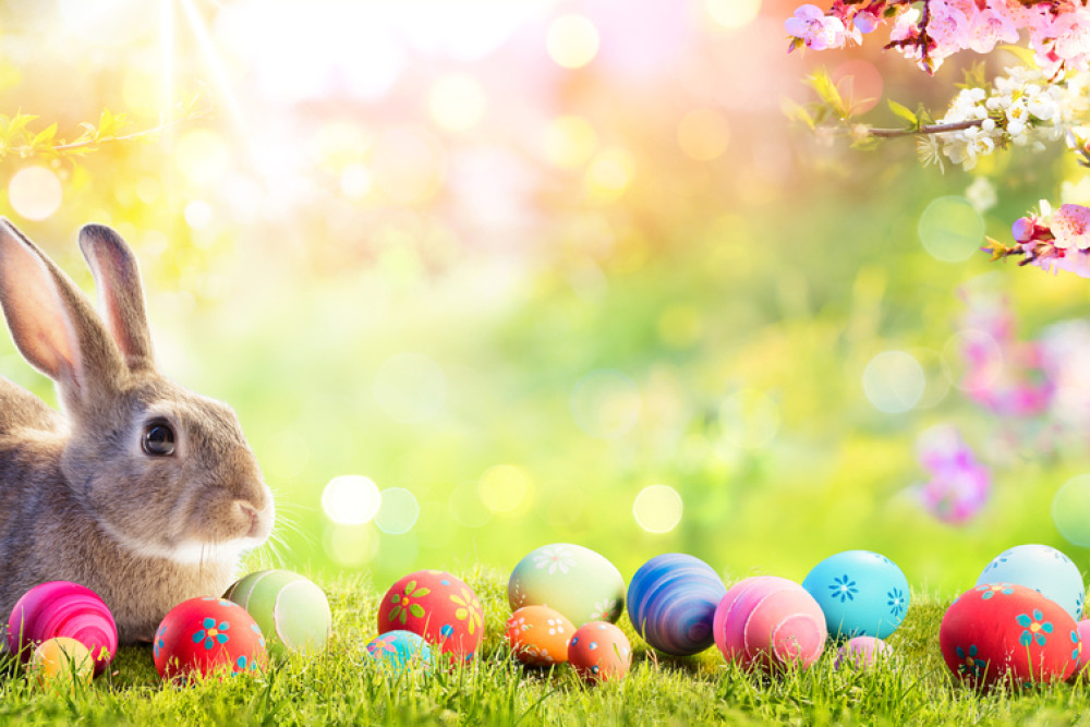 What’s on this Easter - feature photo