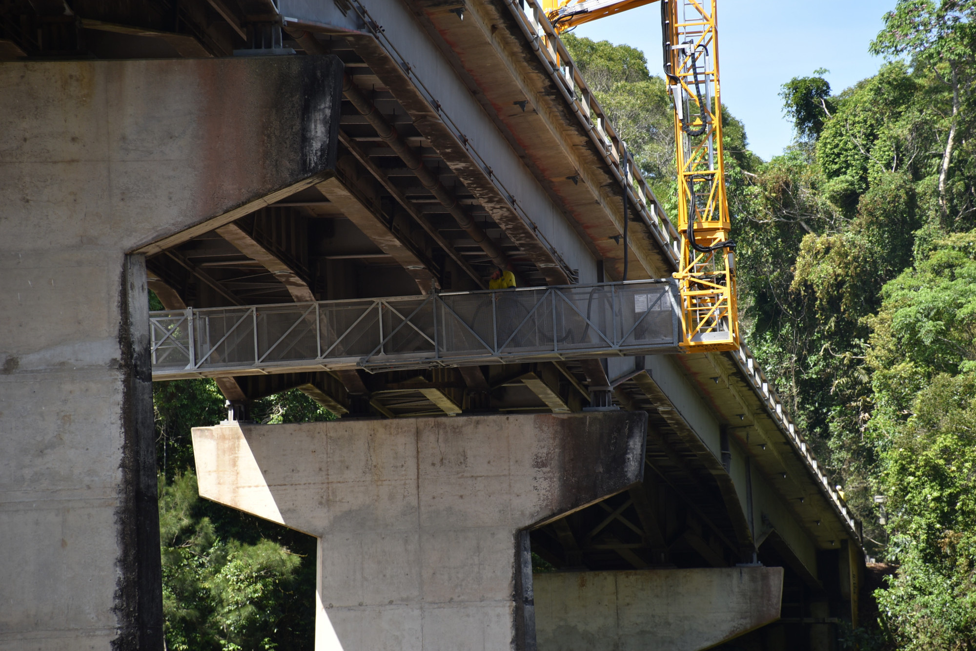 TMR staff carrying out inspections underneath the Barron River Bridge.