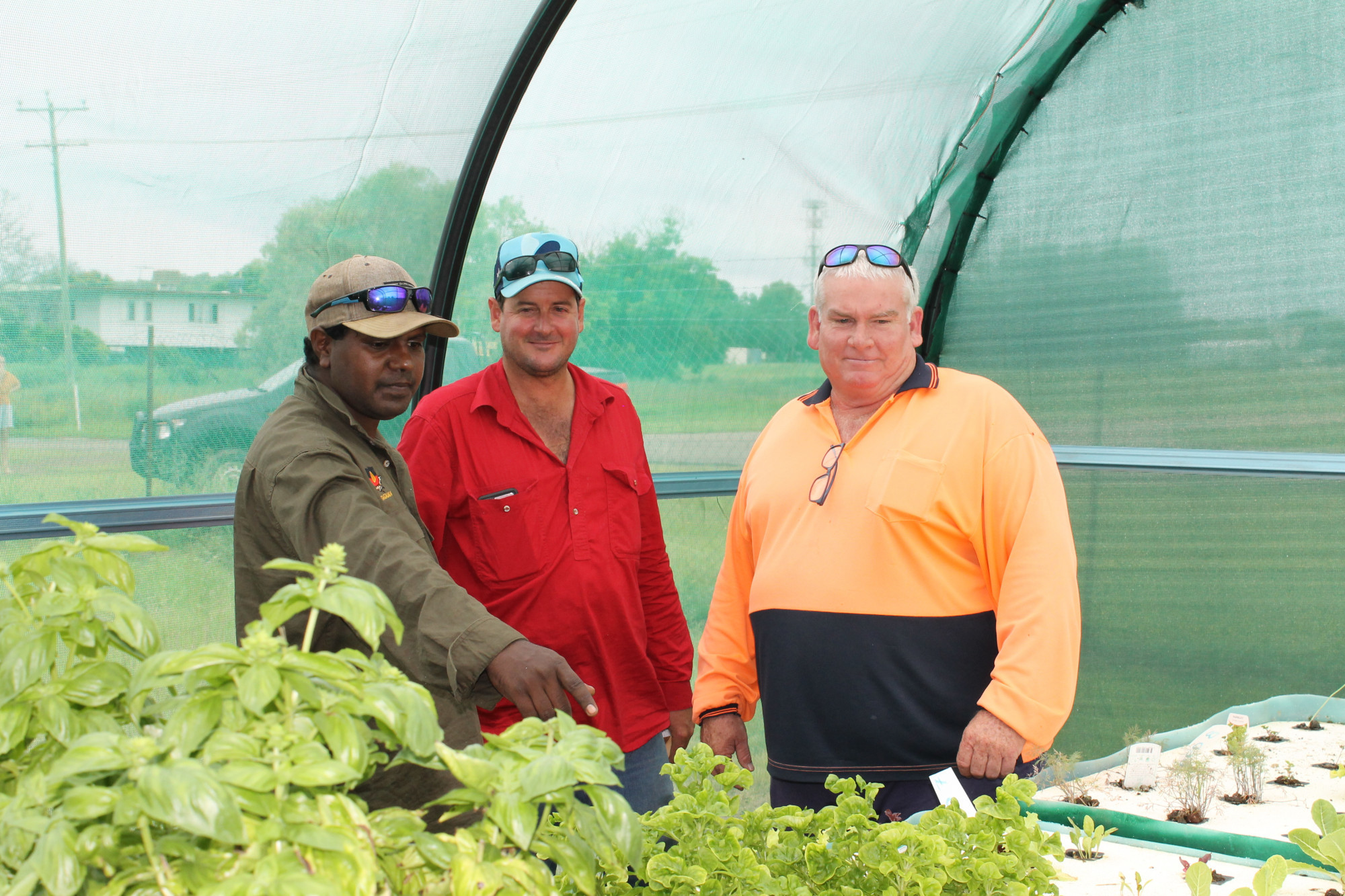 Croydon now have fresh produce and less water waste with their new Aquaponics Centre available for the community to access