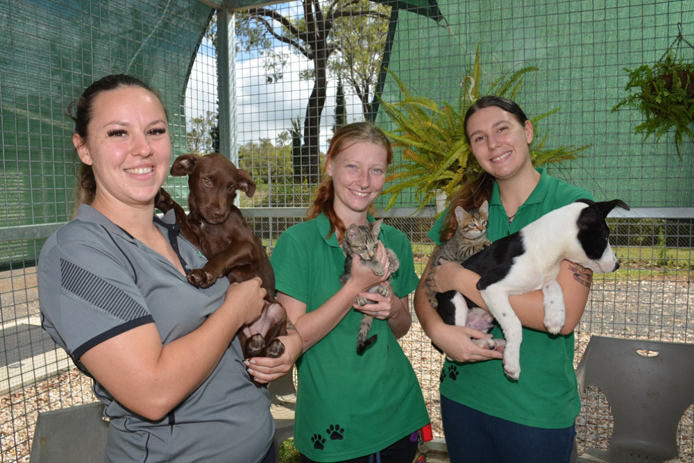 Alpha Lykos K9 Training and Behaviour trainer Taylor Skinner and animal refuge staff members Alyssa Marstersen and Felicity Pollard with local residents up for adoption at the Mareeba refuge.