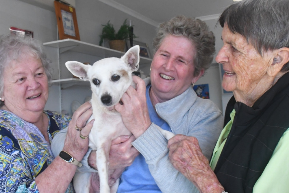 Animal Welfare Society secretary Iris Crawford (left) Sue McCann and patron Betty Harrison with Scotty at the Atherton store in Roberts Street