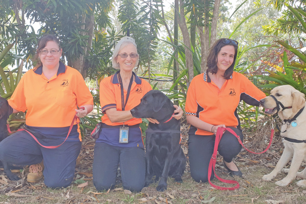 ASDOGS (NQ) trainers Natalie Waller, Ann Pierson and Carly Starr with assistance dogs Lilly, Shani and Raf celebrating their first year as assistance dogs.
