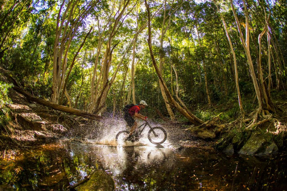 The Atherton Forest Mountain Bike Park has been named one of National Geographic's top trails in Australia. Photo: TTNQ