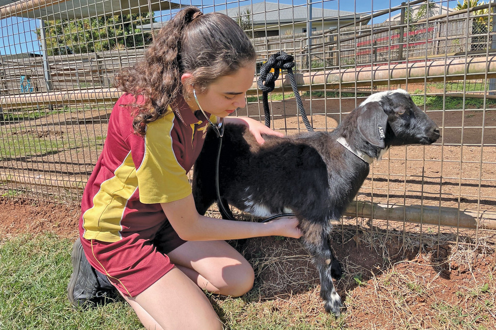 Atherton State High School student Billie Cummings has been recognised for her passion and aptitude in STEM, being awarded a prestigious award.