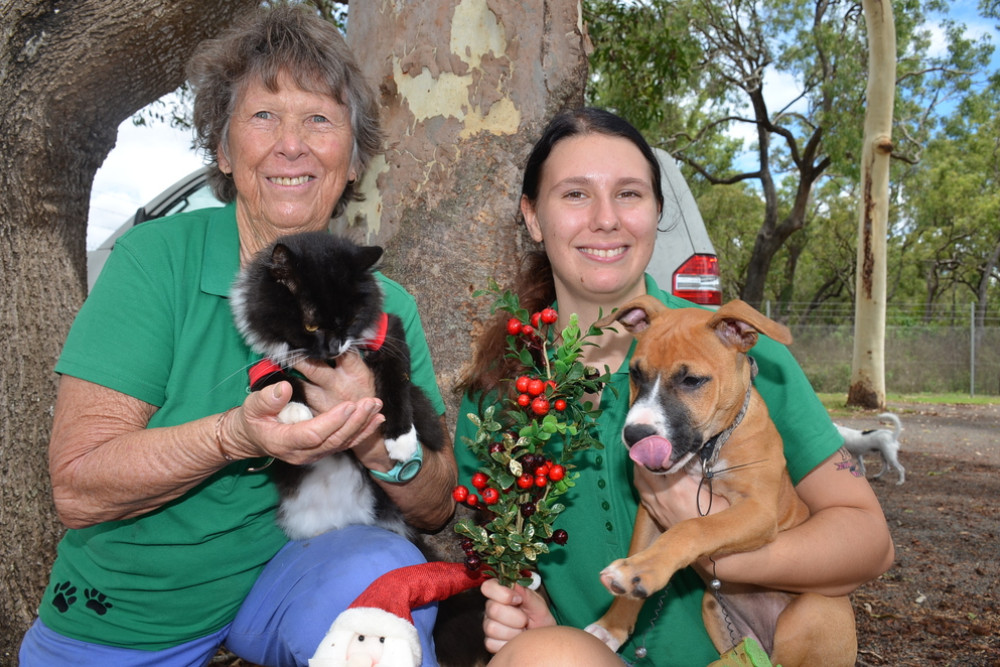 Mareeba Animal Refuge manager Jennifer Walsh and staff member Felicity Pollard and their residents are getting excited for Christmas and have a few things already on their wish list.