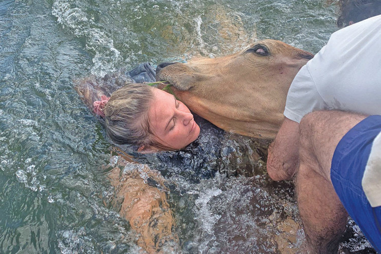 Paul Harris and Ashley Lucas (pictured) helped a cow back to shore after it was found swimming in the middle of Lake Tinaroo. (Picture Supplied).