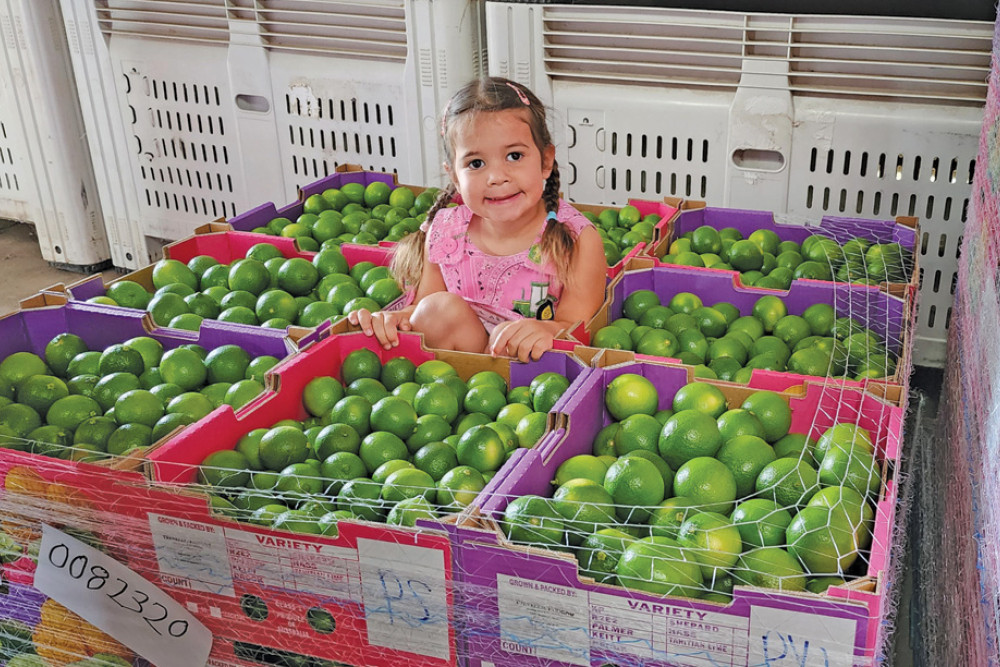 Trinity Lane’s family farm have donated the profits of their pallets to the childcare and kindy she attends