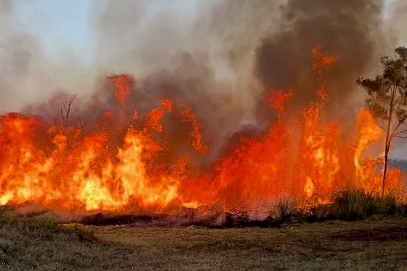 Funding available for victims of bushfire - feature photo