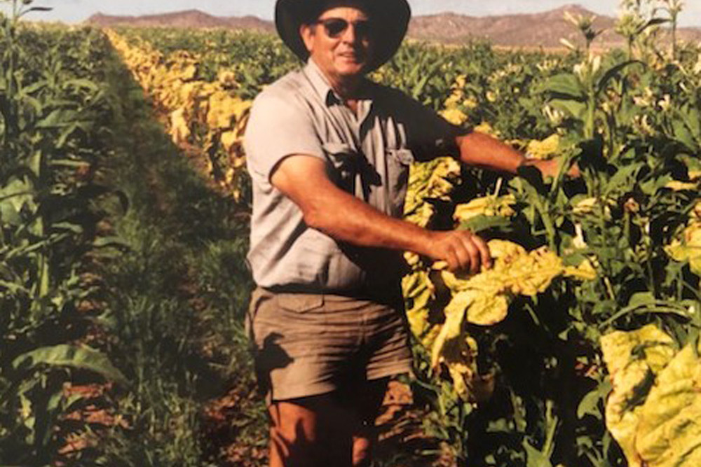 Fred picking tobacco on his farm