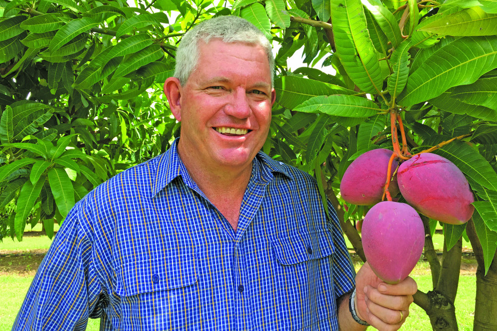 Dr Geoff Dickinson and his team at the Department of Agriculture and Fisheries have made massive waves in the mango industry