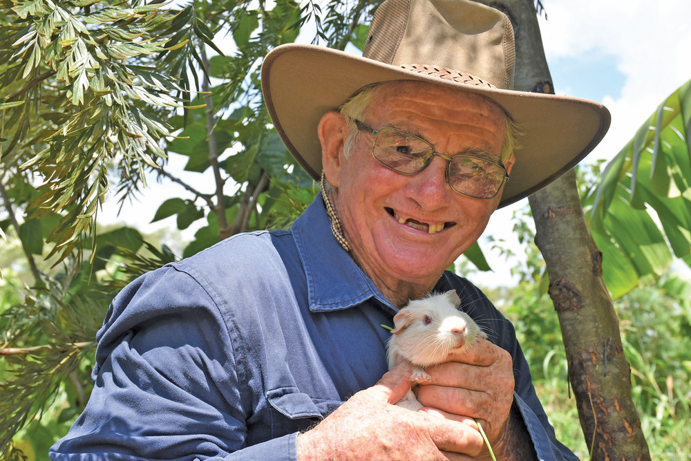 John Gargan from Springmount has been using guinea pigs as his workers on his syntropic farm.
