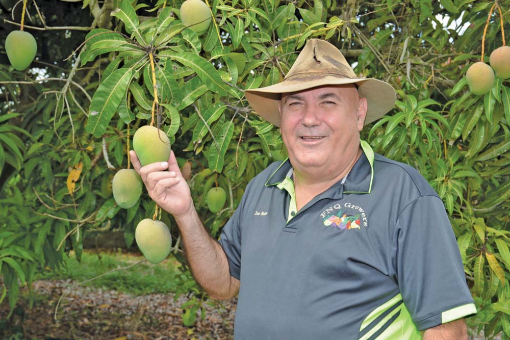 FNQ Growers chair Joe Moro is keen for this year’s mango competition.