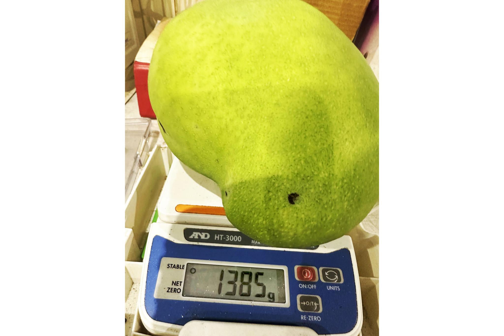 Jovie Hilditch still holds first place as the competition nears end.