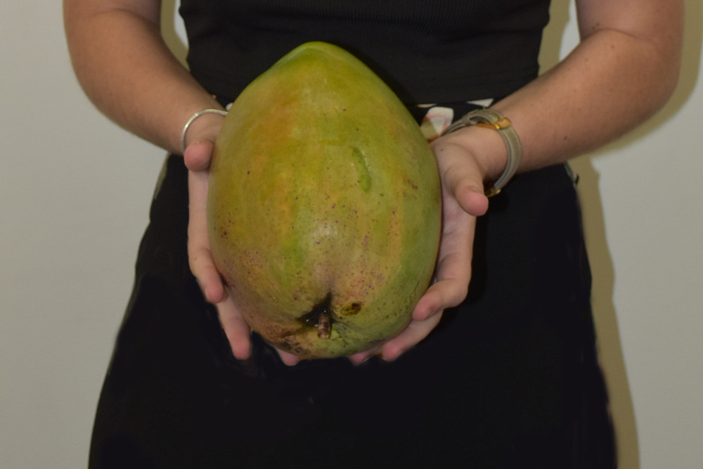 The winning mango bought in by two-time champion Steve Gould.