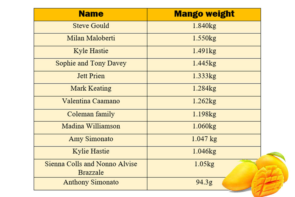 Calling all last minute mango comp entires - feature photo