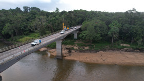 Call for new bridge to become bat haven
