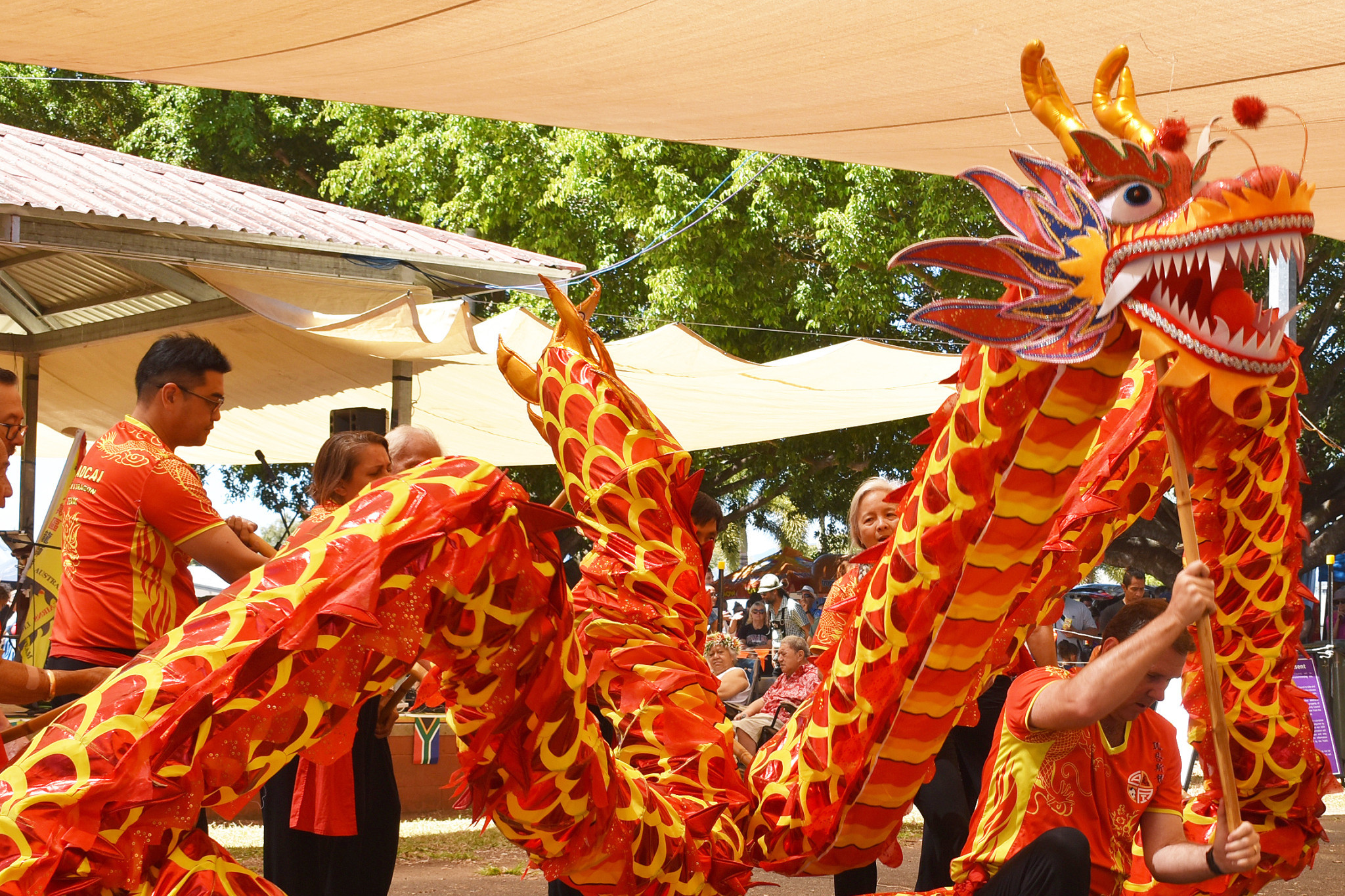 Multicultural festival applications open - feature photo