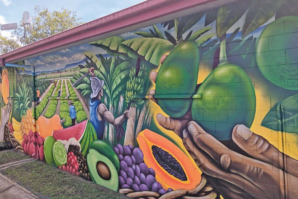 Ripe new mural for town - feature photo