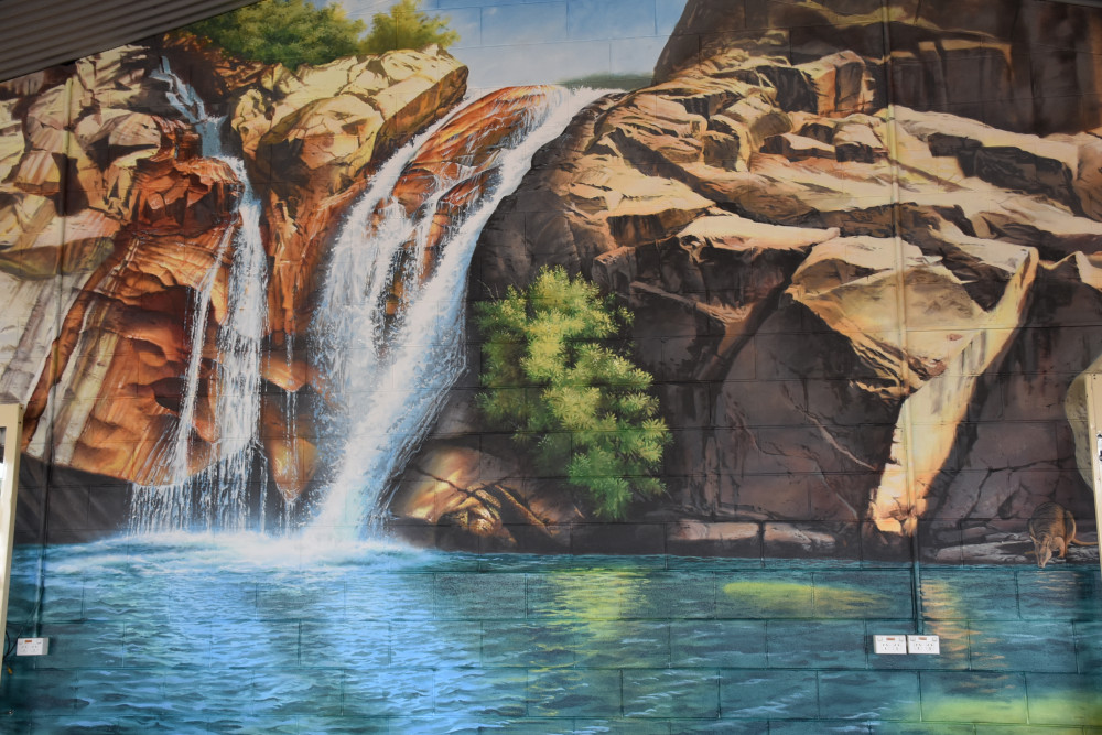 Emerald Creek Falls is now depicted on a wall at the Mareeba Heritage Museum and Visitor Information Centre.