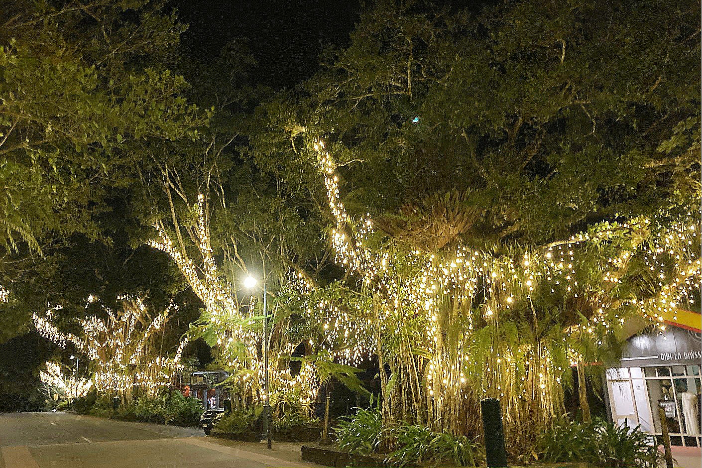 Kuranda upper Coondoo Street lighting upgrade.