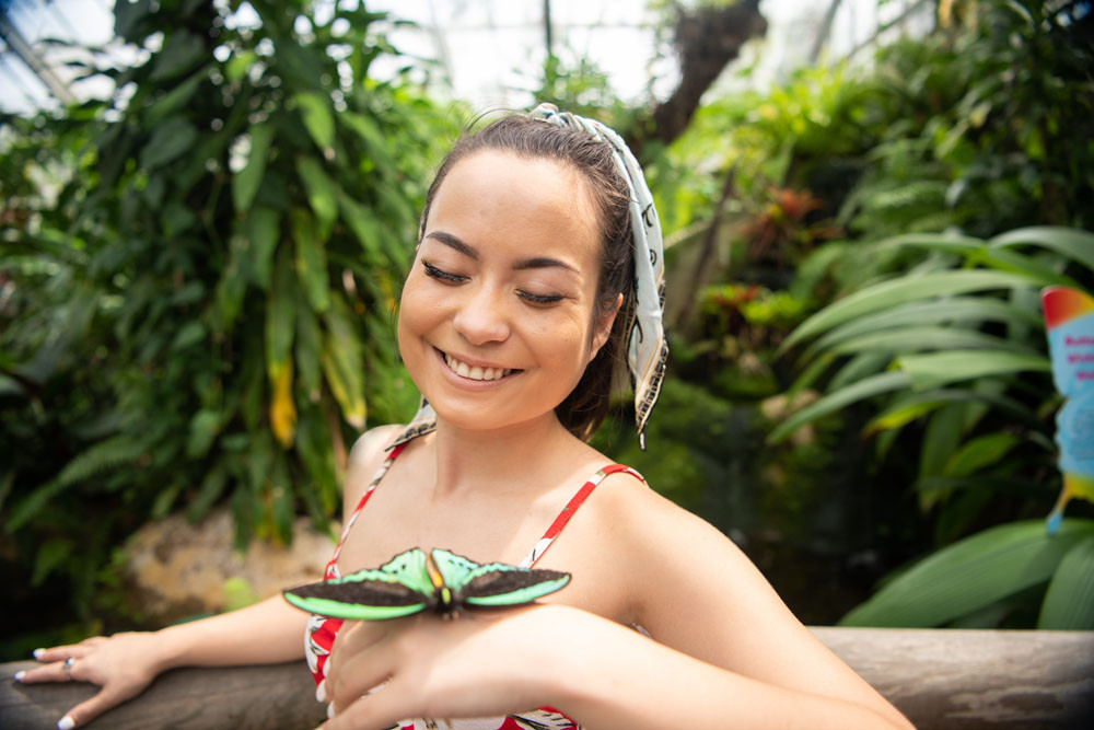 A visitor to the Australian Butterfly Sanctuary admires a Cairns Birdwing butterfly.