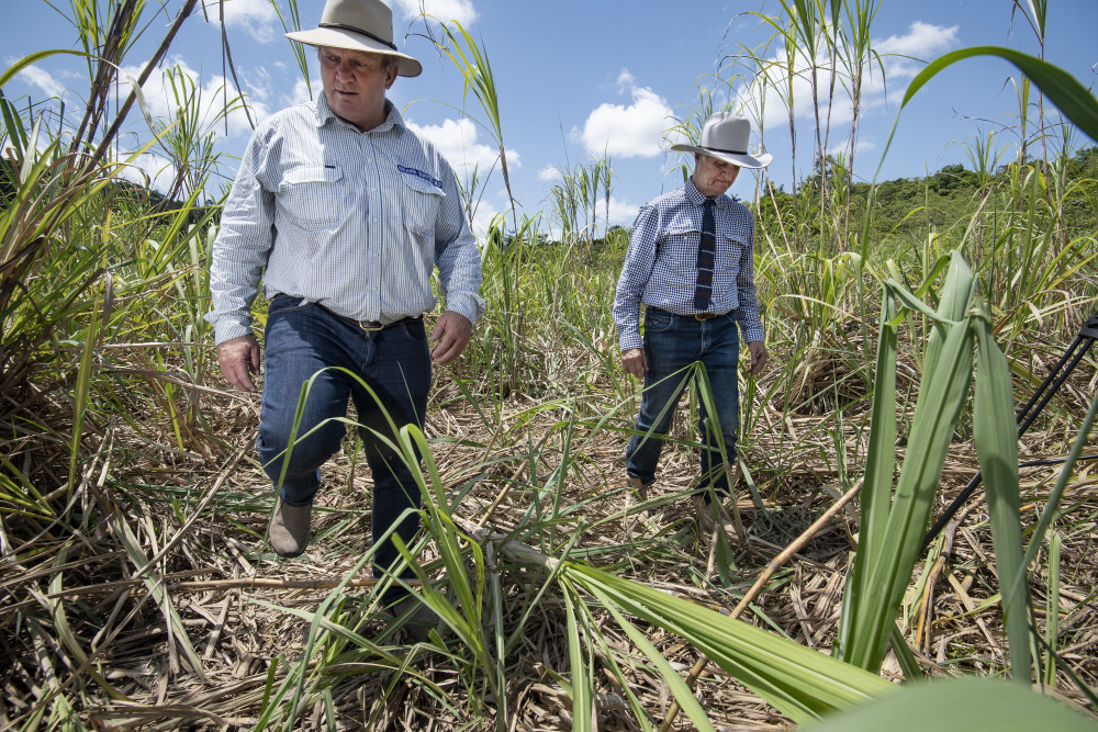 Member for Hill Shane Knuth and Member for Kennedy Bob Katter have joined farmers as they seek to secure funding to combat the regions large feral PHOTO: BRIAN CASSEY.