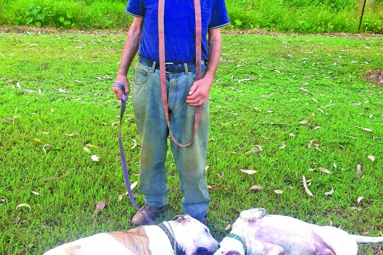 Longtime volunteer and animal lover Arthur Leslie has been remember for his kindness to others, both human and animal.