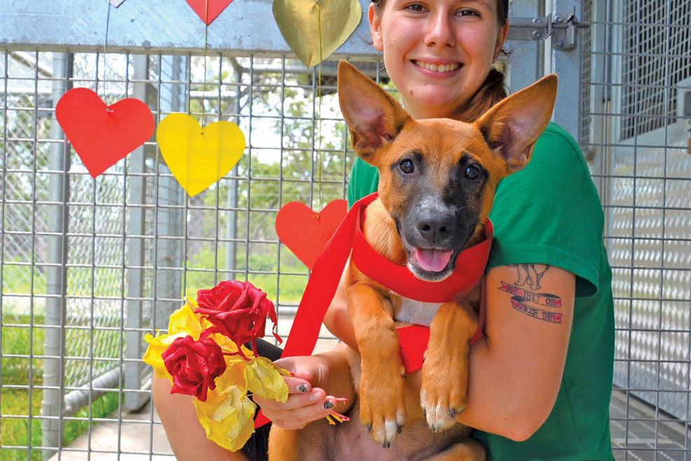 PICTURED: Felicity Pollard and a resident puppy Una are ready for Valentine’s Day.