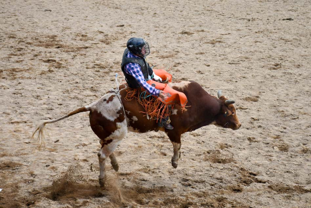 Organisers ramping up for big Mareeba Rodeo - feature photo