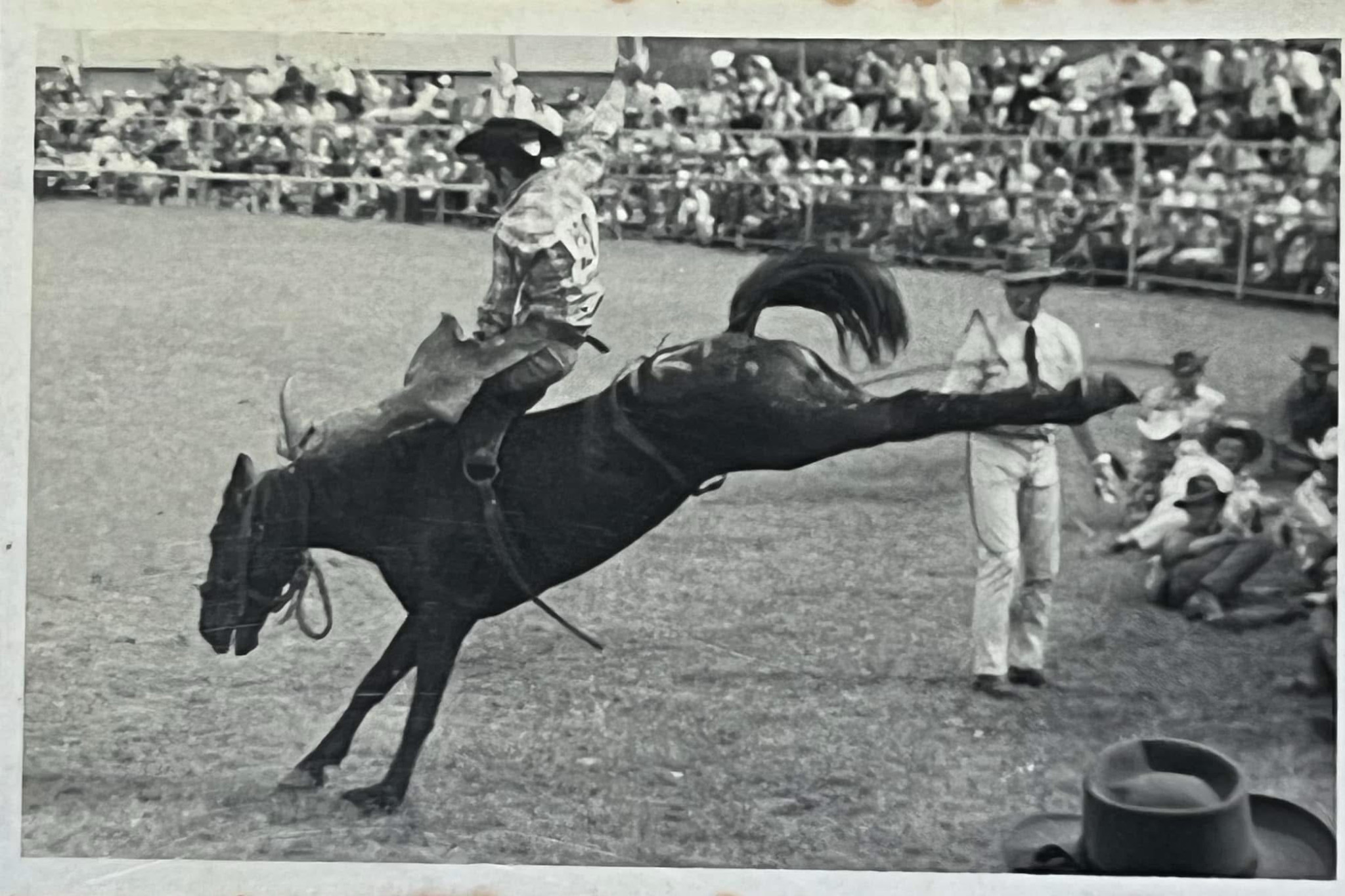 This image taken at the Mareeba Rodeo in the1960s shows the talent of a rider giving his best in the bareback bronc competition. The event is celebrating its 75th anniversary this year. Image courtesy of Darryn Bird.