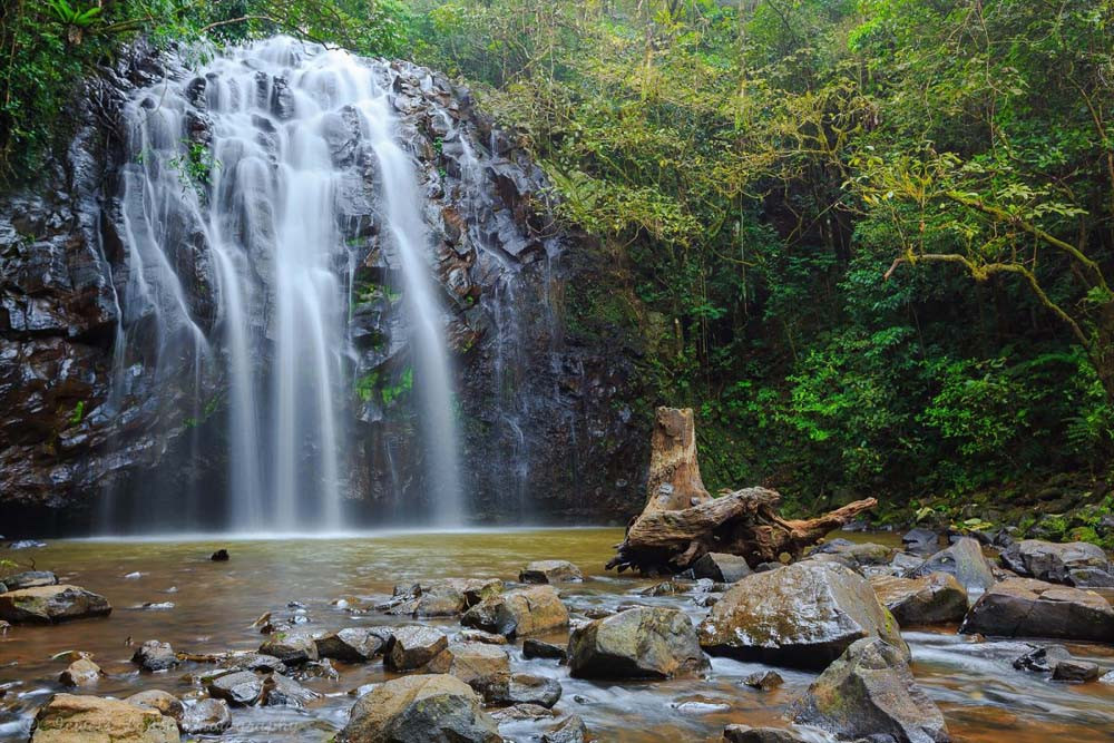 Popular swimming spots like the Ellinjaa-Falls can be potentially dangerous during flooding events.