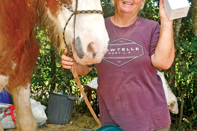 Monty the horse and Sue from FNQ Foster Farms are ready for their “Wheelie Big Raffle”.