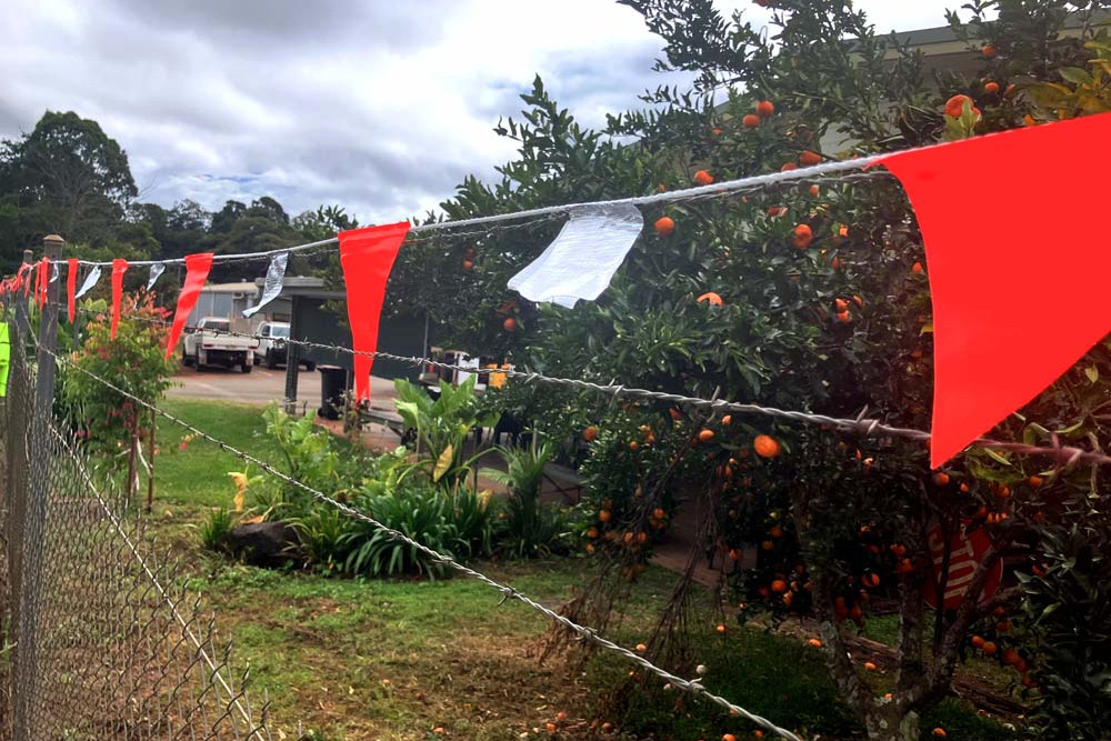 The safety bunting placed on top of the fence at the Tolga depot acts as a visual aid to wildlife.