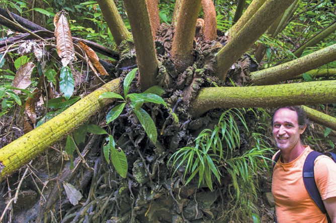 Photographer and conservation advocate Steven Nowakowski will give a free talk on the Wet Tropics this Thursday.