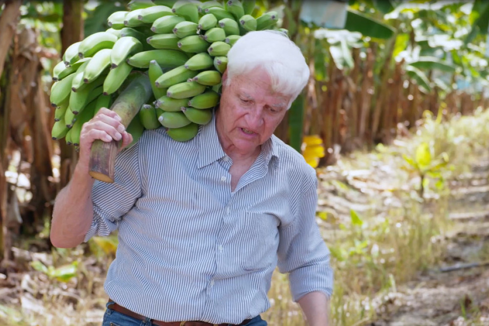 Bob Katter’s latest election advert shows him carrying bananas.