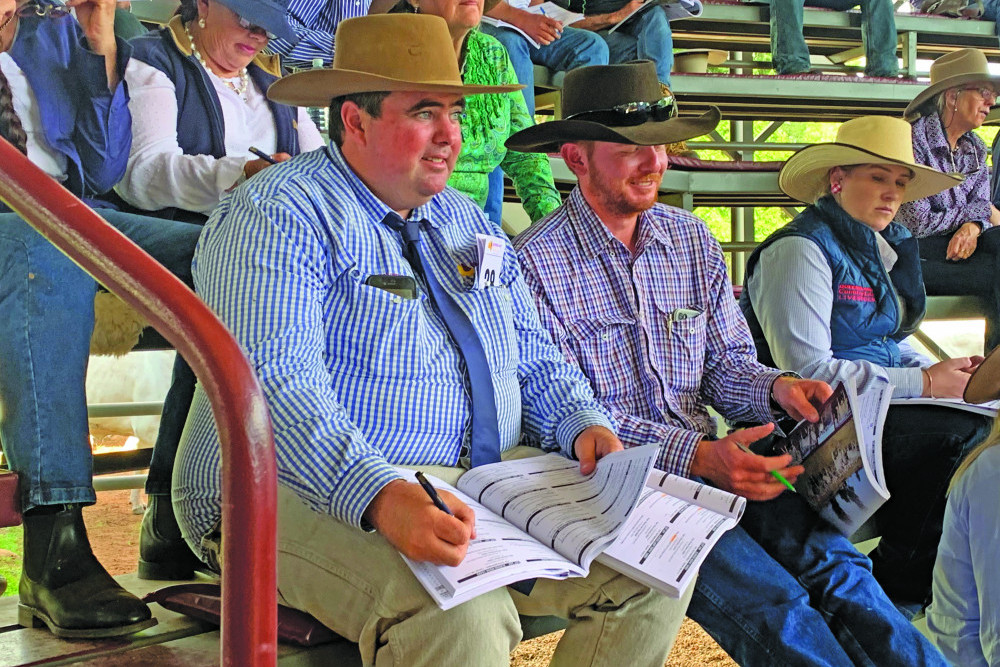 Queensland Rural's Livestock Specialist, Shaun Flanagan and volume buyer, Roland Everingham from Oak Park Station, Einasleigh concentrate on the job at hand at the recent Elrose Stud Female Reduction Sale.