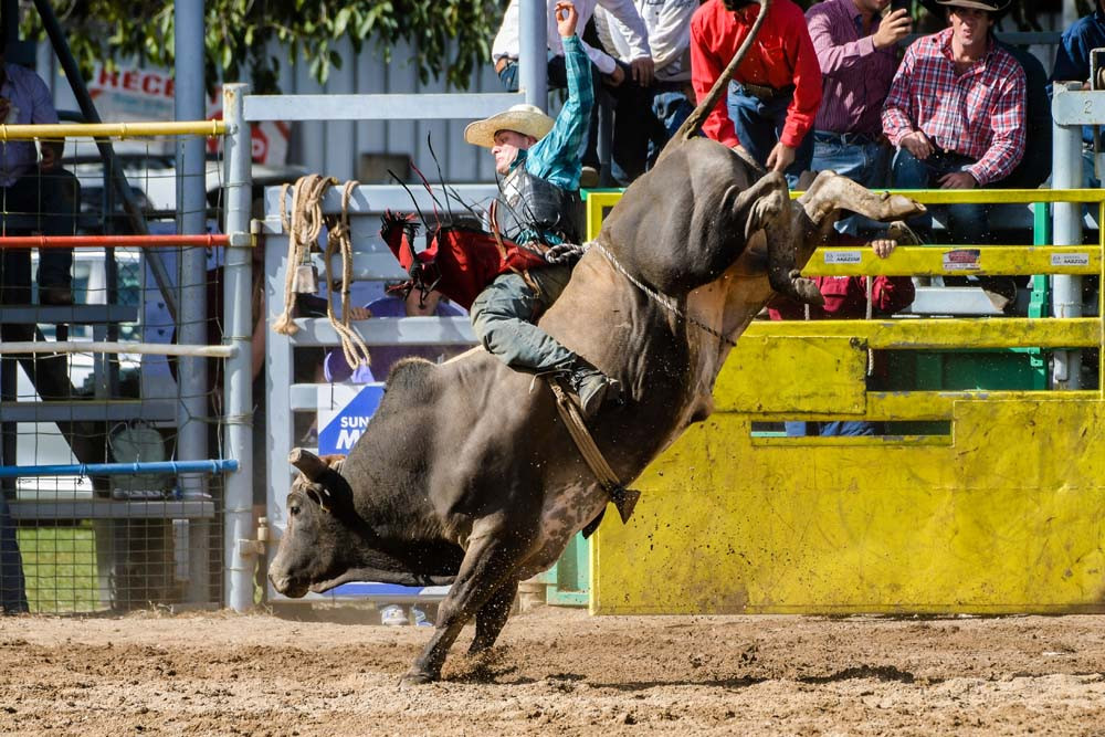 Bull riding action returns to town - feature photo