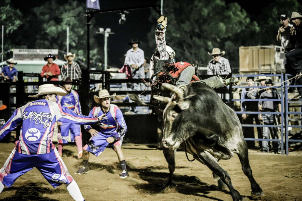 The finals of the 2021 Great Northern Bull Riding series are set for Atherton on 13 November.