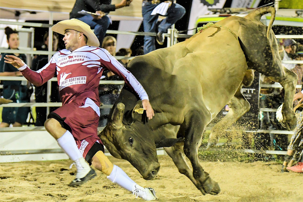 Protection clown running from a bull during last year Great Northern Bullriding Series in Atherton. Photo by Peter Roy Photography.